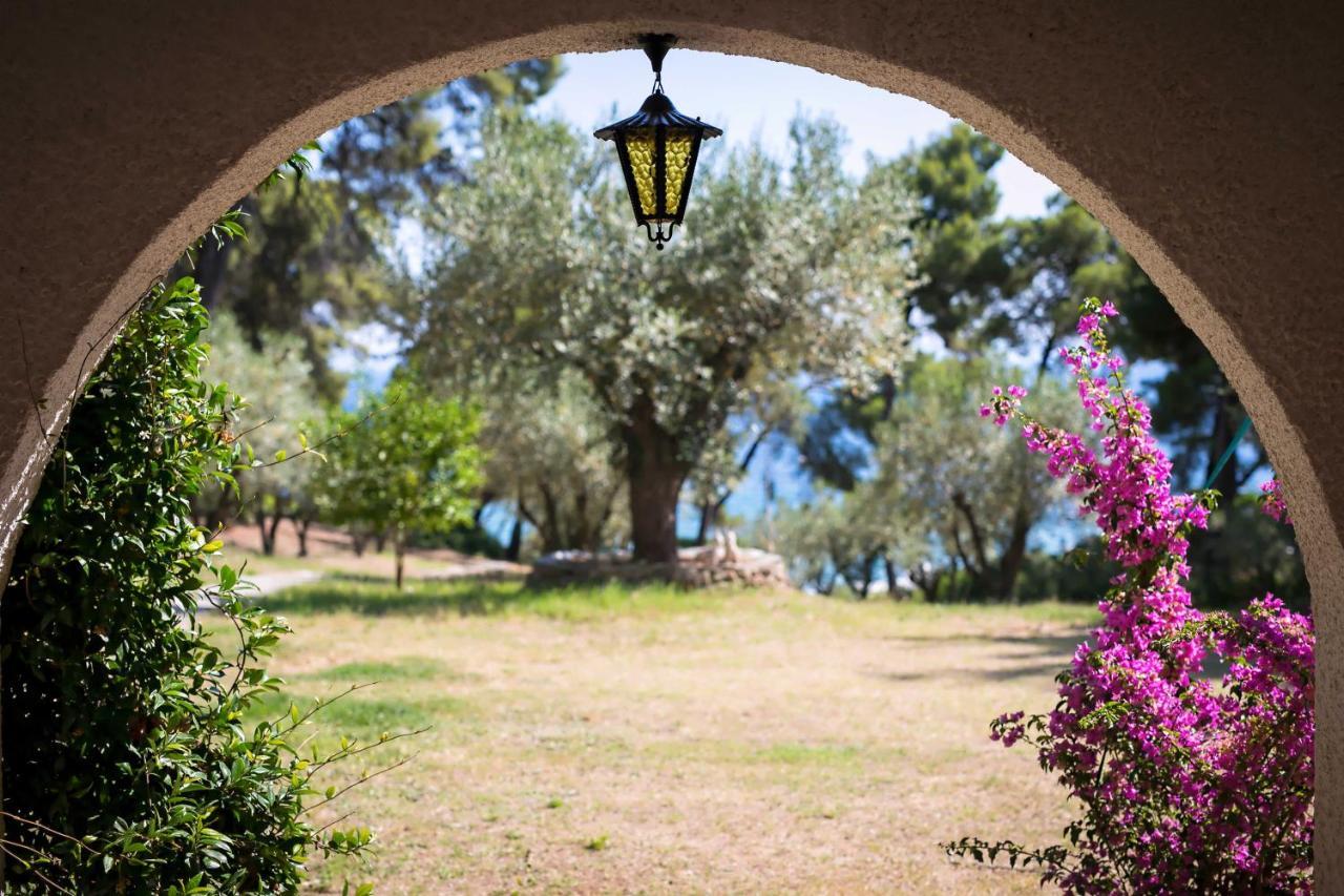 Chalkidiki Beachfront Haven - Perfect Location Нікіті Екстер'єр фото